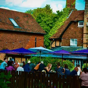 The Dolphin Winchester